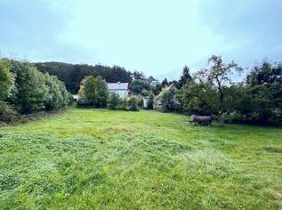 Baugrundstück mit angrenzendem Obstgarten, 139000 €, Immobilien-Grund und Boden in 2733 Katastralgemeinde Grünbach am Schneeberg