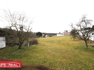 Grünland - Bauerwartungsland in zentraler Dorflage mit Altbestand - Potenzial auf 8.000qm, 399000 €, Immobilien-Grund und Boden in 4794 Kopfing im Innkreis Grünland - Bauerwartungsland in zentraler Dorflage mit Altbestand - Potenzial auf 8.000qm, 399000 €, Immobilien-Grund und Boden in 4794 Kopfing im Innkreis