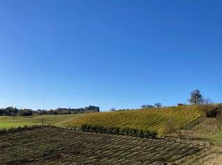 Landwirtschaftliche Fläche: Obstplantagen - Weingartenkultur!, 13 €, Immobilien-Grund und Boden in 8333 Altenmarkt bei Riegersburg