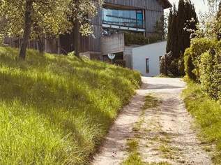 Top Anlegerobjekt!, 0 €, Immobilien-Wohnungen in 4612 Scharten Top Anlegerobjekt!, 0 €, Immobilien-Wohnungen in 4612 Scharten