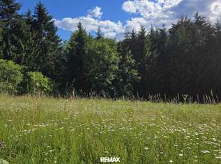 Der perfekte Grundstein für Ihr Zuhause - Ruhig gelegenes Baugrundstück mit idealer Ausrichtung in Steyeregg, 134900 €, Immobilien-Grund und Boden in 8551 Wies Der perfekte Grundstein für Ihr Zuhause - Ruhig gelegenes Baugrundstück mit idealer Ausrichtung in Steyeregg, 134900 €, Immobilien-Grund und Boden in 8551 Wies