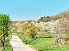 Erstbezug 4-Zimmer Eigentumswohnung, 283500 €, Immobilien-Wohnungen in 7082 Gemeinde Donnerskirchen
