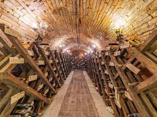 DIE LOCATION FÜR FIRMENEVENTS & PRIVATE FEIERN IN EINEM BESONDEREN AMBIENTE! MIT WOHNBEREICH!, 299000 €, Immobilien-Gewerbeobjekte in 2020 Hollabrunn