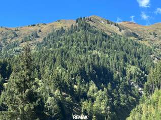 Waldgrundstück in Hüttschlag – ca. 40.000 m² Natur & Wert, 72000 €, Immobilien-Grund und Boden in 5612 Hüttschlag Waldgrundstück in Hüttschlag – ca. 40.000 m² Natur & Wert, 72000 €, Immobilien-Grund und Boden in 5612 Hüttschlag