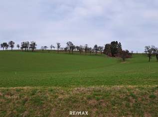 Die Gelegenheit! Günstiger Baugrund in St. Johann in Engstetten/St. Peter/Au., 82980 €, Immobilien-Grund und Boden in 3352 Sankt Johann in Engstetten