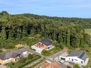 Herausragendes, neuwertiges Mehrfamilienhaus im steirischen Thermen - und Vulkanland!, 825000 €, Immobilien-Häuser in 8342 Wörth