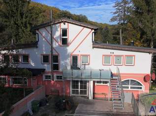 Mehrfamilien- oder Generationenhaus fÃŒr Pferdeliebhaber!, 1970000 €, Immobilien-Häuser in 3400 Maria Gugging