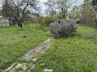 "KLEINGARTENTRAUM IN KORNEUBURG", 150000 €, Immobilien-Grund und Boden in 2100 Korneuburg "KLEINGARTENTRAUM IN KORNEUBURG", 150000 €, Immobilien-Grund und Boden in 2100 Korneuburg