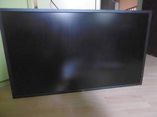 Monitor NEC MultiSync X401S