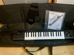Yamaha Sonogenic SHS-500 inkl. Tasche "Neuwertig ", 160 €, Marktplatz-Musik & Musikinstrumente in 9300 Sankt Veit an der Glan