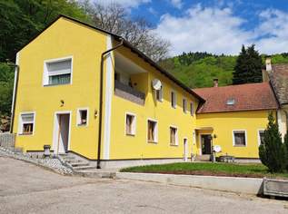 3 Wohneinheiten und Lagerflächen- Anlageobjekt, 369000 €, Immobilien-Häuser in Niederösterreich