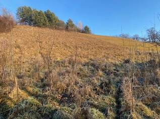 Für Naturliebhaber und Sonnenanbeter!, 87000 €, Immobilien-Grund und Boden in 2630 Pottschach