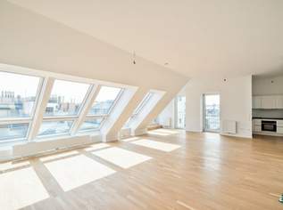 Klimatisierte 4-Zimmer-Wohnung mit Terrasse nahe der Wiener Innenstadt (optional mit PKW-Stellplatz), 4150 €, Immobilien-Wohnungen in 1090 Alsergrund