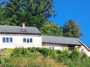 HISTORISCHER CHARME: BURGIDYLL - MODERNES DACH MIT ALTEN MAUERN IN MALERISCHER LANDSCHAFT, 38000 €, Immobilien-Häuser in 3830 Gemeinde Waidhofen an der Thaya HISTORISCHER CHARME: BURGIDYLL - MODERNES DACH MIT ALTEN MAUERN IN MALERISCHER LANDSCHAFT, 38000 €, Immobilien-Häuser in 3830 Gemeinde Waidhofen an der Thaya