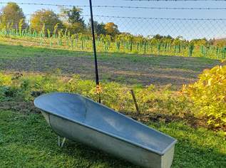 Zinkwanne Zinkwanne