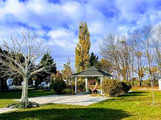 Badeurlaub daheim - AMBIENTE22!, 240000 €, Immobilien-Wohnungen in 1220 Donaustadt
