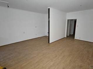 Schöne 1-Zimmerwohung - Erstbezug nach Sanierung, 427.37 €, Immobilien-Wohnungen in 8020 
