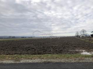 Ebenes Grundstück in Ortsrandlage, 45000 €, Immobilien-Grund und Boden in 8382 Krobotek