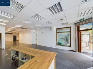 MIETE - Einzelhandel, Büro od. Praxis - TOP 2 - CITY LAGE - Feldkirchen in der WÖRTHERSEE REGION, 1343.54 €, Immobilien-Gewerbeobjekte in 9560 Feldkirchen in Kärnten