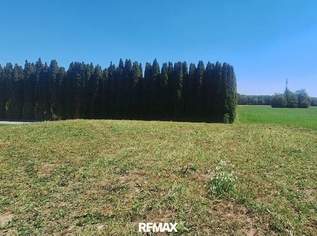 Baugrundstück in idyllischer Ruhelage in Schalchen bei Mattighofen, 125000 €, Immobilien-Grund und Boden in 5231 Schalchen Baugrundstück in idyllischer Ruhelage in Schalchen bei Mattighofen, 125000 €, Immobilien-Grund und Boden in 5231 Schalchen
