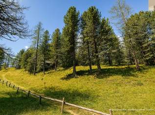 ZWEITWOHNSITZTAUGLICH! Grundstück in idyllischer Lage auf der Turracher Höhe, 665000 €, Immobilien-Grund und Boden in Kärnten