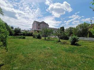 "Großes Grundstück, sichere Einnahmen!", 639000 €, Immobilien-Häuser in 2130 Mistelbach "Großes Grundstück, sichere Einnahmen!", 639000 €, Immobilien-Häuser in 2130 Mistelbach