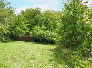 Baugrundstück in idyllischer Lage auf leichtem Südhang in Tulln-Nähe, 240000 €, Immobilien-Grund und Boden in 3434 Katzelsdorf