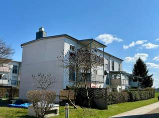 Schöne 3-Zimmer-Wohnung inkl. TG-Parkplatz, 235000 €, Immobilien-Wohnungen in 8041 Schöne 3-Zimmer-Wohnung inkl. TG-Parkplatz, 235000 €, Immobilien-Wohnungen in 8041