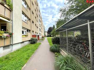 Ab sofort verfügbar – großzügige 2-Zimmer-Wohnung mit Loggia und Lift in Linz/Bindermichl! Wohnung wurde GENERALSANIERT!, 713.33 €, Immobilien-Wohnungen in Oberösterreich Ab sofort verfügbar – großzügige 2-Zimmer-Wohnung mit Loggia und Lift in Linz/Bindermichl! Wohnung wurde GENERALSANIERT!, 713.33 €, Immobilien-Wohnungen in Oberösterreich