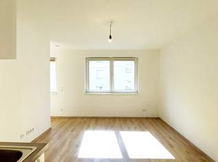 Optimal geschnittener Singlehit im 10. Gemeindebezirk, 690 €, Immobilien-Wohnungen in 1100 Favoriten