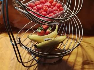 OBST, ZUCKERL, GEBÄCK, PRALINEN......., 5 €, Haus, Bau, Garten-Haushaltsgeräte in 1200 Brigittenau