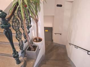 Eine Wiener Rarität als Anlageobjekt (unbefristet) – um nur EUR 1.351,-/m², 67000 €, Immobilien-Wohnungen in 1230 Liesing