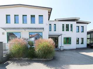 Flexible Ausstellungs-, Lager- und Produktionsflächen in Thalheim bei Wels, 0 €, Immobilien-Gewerbeobjekte in 4600 Thalheim bei Wels