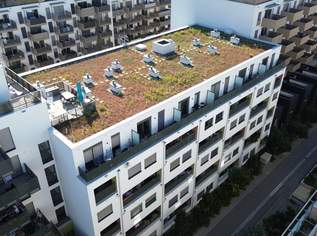 Exklusive Shop-Fläche im Aufstrebenden Viertel von Wien!, 4312.5 €, Immobilien-Gewerbeobjekte in 1220 Donaustadt