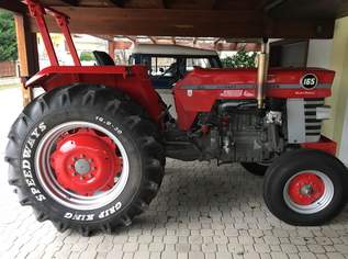Oldtimertraktor MASSEY FERGUSON 165 Multi Power, 13200 €, Auto & Fahrrad-Traktoren & Nutzfahrzeuge in 2542 Kottingbrunn Oldtimertraktor MASSEY FERGUSON 165 Multi Power, 13200 €, Auto & Fahrrad-Traktoren & Nutzfahrzeuge in 2542 Kottingbrunn