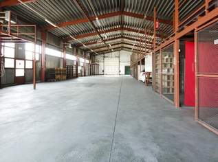 Firmenstandort in Fischamend: Warmhalle für Produktion und Lagerung/Werkstatt/Büro mit freiem Grundstück, 1900000 €, Immobilien-Gewerbeobjekte in 2401 Gemeinde Fischamend