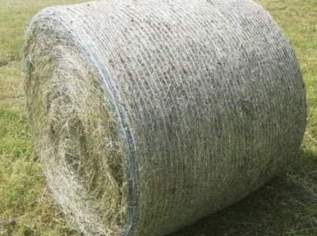 Heu Rundballen 2.Schnitt 2024 Heu Rundballen 2.Schnitt 2024