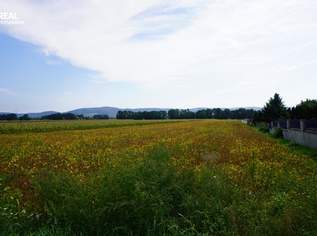 RARITÄT!! GELDANLAGE OHNE BAUZWANG!! IHR TRAUMGRUNDSTÜCK IN BESTLAGE WARTET AUF SIE!! AUCH FÜR BAUTRÄGER GEEIGNET!!, 392000 €, Immobilien-Grund und Boden in 3430 Staasdorf