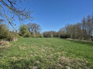 landwirtschaftlicher Grund mit Wald, 120000 €, Immobilien-Grund und Boden in 4963 Sankt Peter am Hart