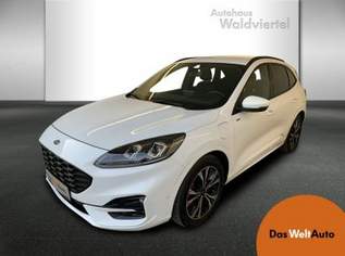 Kuga 2,5 Duratec PHEV ST-Line X Aut., 23490 €, Auto & Fahrrad-Autos in 3580 Gemeinde Horn Kuga 2,5 Duratec PHEV ST-Line X Aut., 23490 €, Auto & Fahrrad-Autos in 3580 Gemeinde Horn