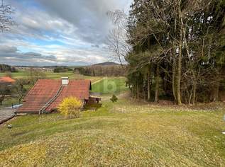 TRAUMHAFTE SONNENLAGE, 225000 €, Immobilien-Grund und Boden in 4894 Oberhofen am Irrsee