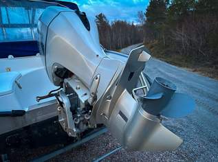 Silver Hawk 540 mit Honda Motor !