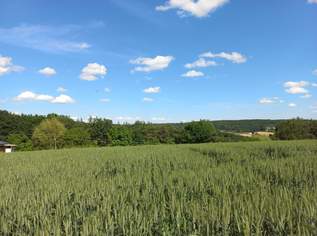 Baugrund in Ruhelage mit Anbindung an die S7, 169000 €, Immobilien-Grund und Boden in 7543 Kukmirn Baugrund in Ruhelage mit Anbindung an die S7, 169000 €, Immobilien-Grund und Boden in 7543 Kukmirn
