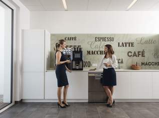 Modernes Office (303 m²) in Top-Lage mit kostenlosen Parkplätzen vor Ort, provisionsfrei - WALTER BUSINESS-PARK, 4666.2 €, Immobilien-Gewerbeobjekte in 2340 Gemeinde Mödling