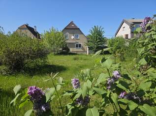 Wohnhaus Leonding-Langholzfeld, 435000 €, Immobilien-Häuser in 4060 Leonding