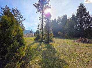 Baugrundstück mit über 2.200m² - Pitten, 195000 €, Immobilien-Grund und Boden in 2823 Gemeinde Pitten