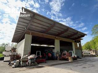 Waldflächen mit Betriebshalle und Reitplatz, 410000 €, Immobilien-Grund und Boden in 4523 Neuzeug