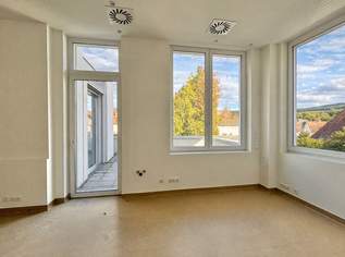 moderne Ordinationsräume mit Blick am Schlossberg | großzügige Außenflächen, 1857.72 €, Immobilien-Gewerbeobjekte in 2410 Gemeinde Hainburg an der Donau