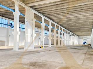 Betriebsliegenschaft auf ca. 30.597m² Grundstücksfläche in Wiener Neustadt zu verkaufen!, 7000000 €, Immobilien-Gewerbeobjekte in Niederösterreich