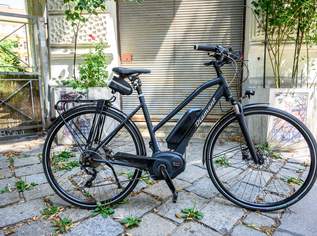 TREKKING E-BIKE DIAMANT ELAN+